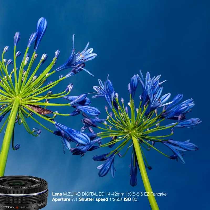 Fotografia krajobrazowa 14-42 mm