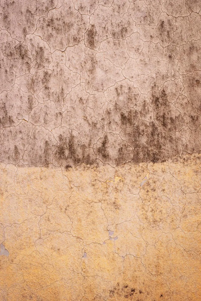 Naturalne krawędzie i maskowanie