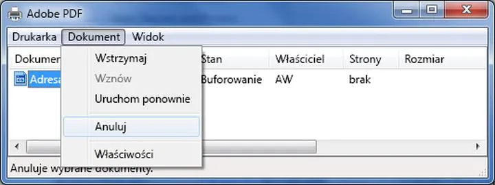 Psychologia frustracji związanej z drukowaniem